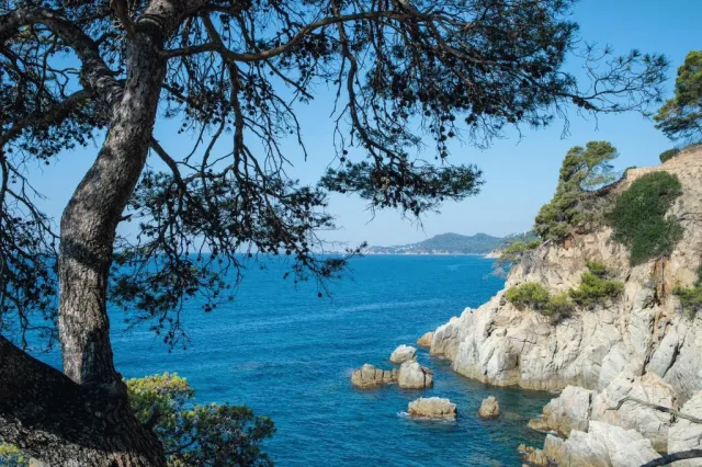 Hotellikuva Hotel Lloret Santa Rosa by Pierre & Vacances - numero 1 / 10