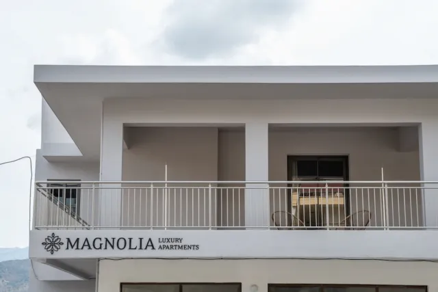 Hotellikuva MAGNOLIA Luxury Chania Central Apartments - numero 1 / 91