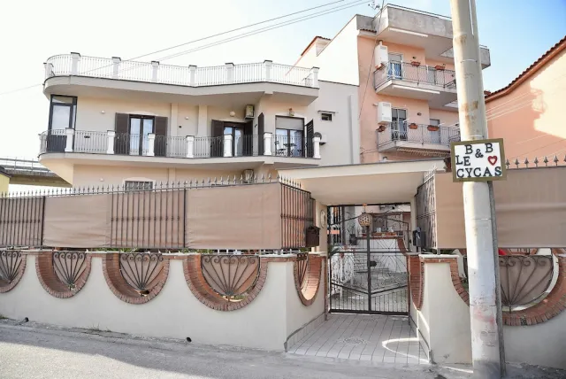 Hotellikuva B&B Le Cycas - numero 1 / 82