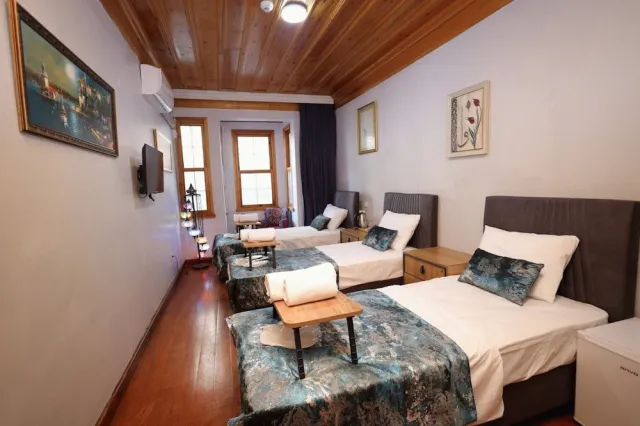 Hotellikuva The Trip Istanbul Hotel - numero 1 / 31