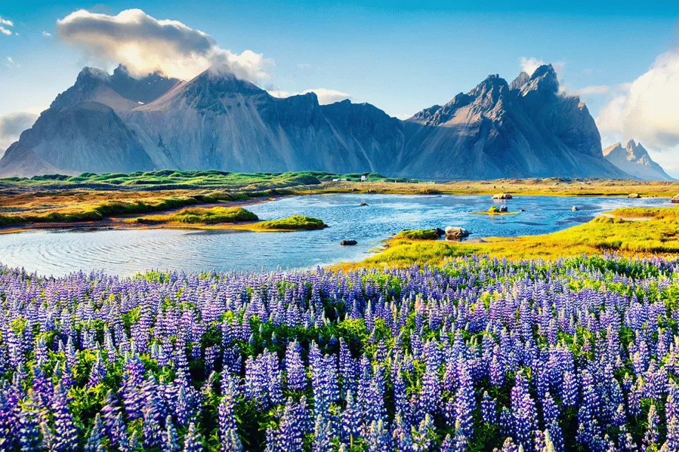 Kuva Islanti 