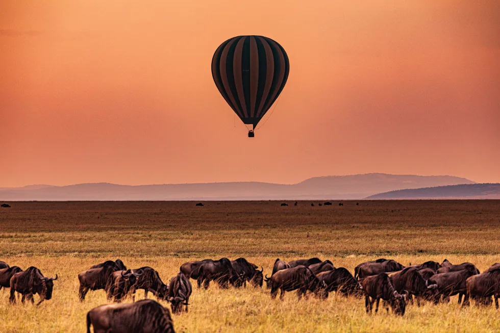 Kuva Maasai Mara National Reserve 